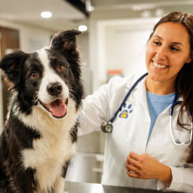 VET-FORMULATED